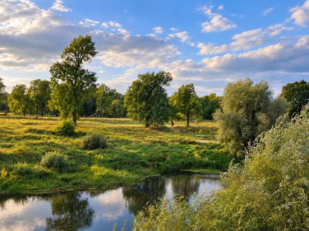 Пойменный луг и деревья у воды
